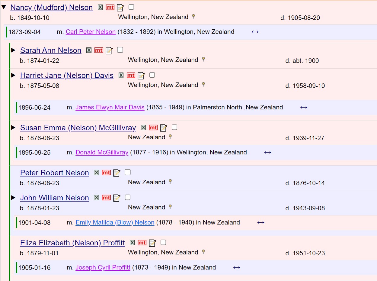 Nancy (Mudford) Nelson, b. 1849 family tree